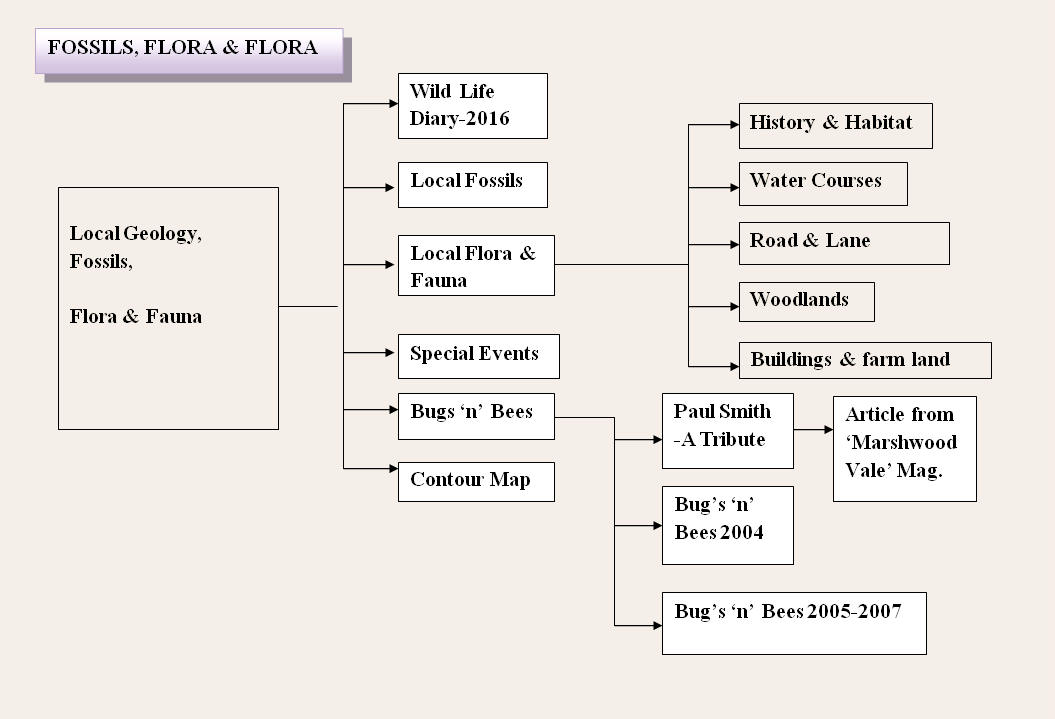 rev Flora Map2017